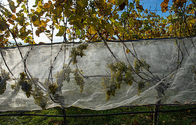 "Warten auf den Frost"