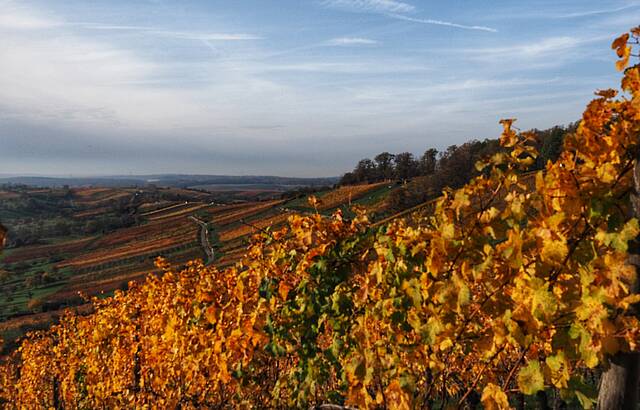 Blick vom Derdinger Horn