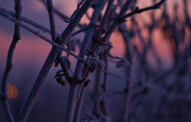 Frostiger Sonnenaufgang