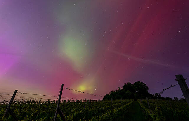 Weinberg unter Polarlicht