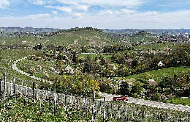 Frühling im Weinsberger Tal