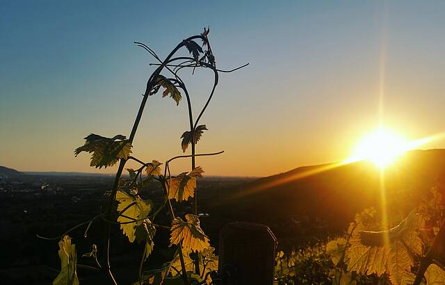 Sonnenuntergang im Remstal