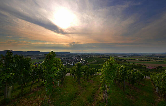 Hohenloher Weinlandschaften