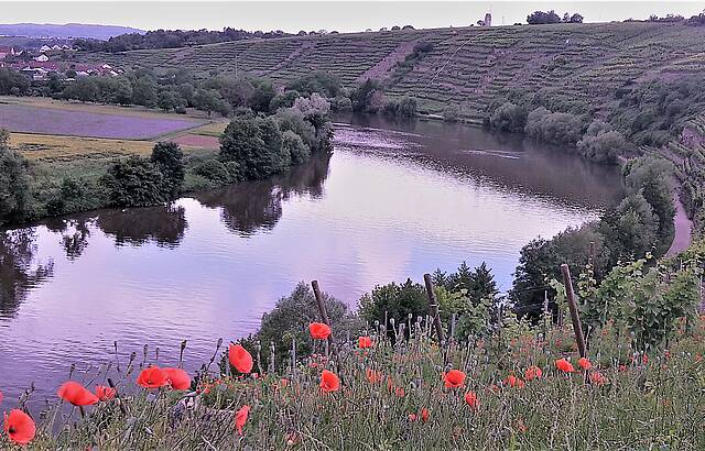 Weinterrasse bei Kirchheim