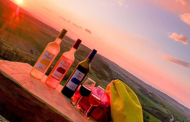 Save Water drink Wine