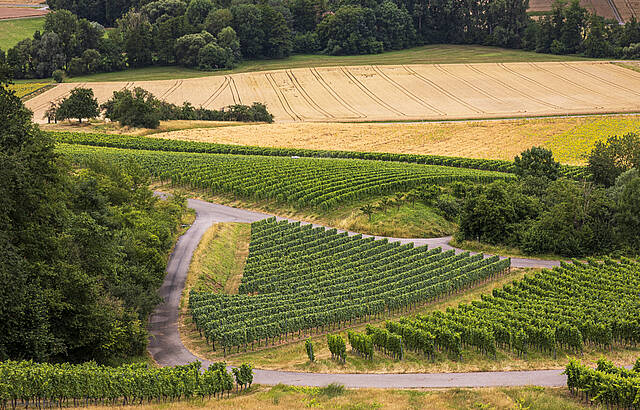 Die Landschaft bildet Linien, wenn man sie richtig liest 