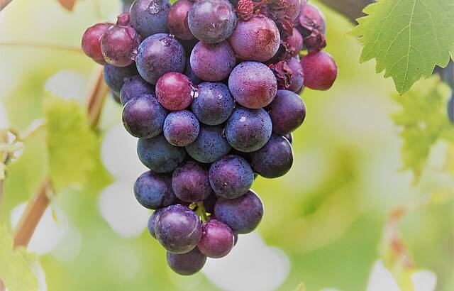 Wir wären dann soweit .....