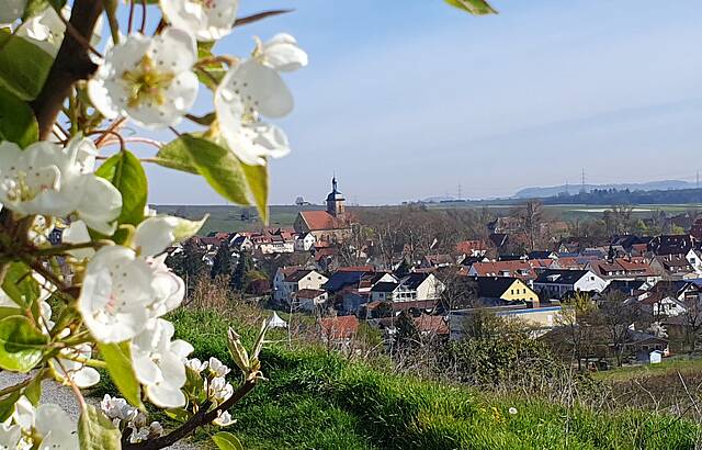 Lauffener Frühlingsbote