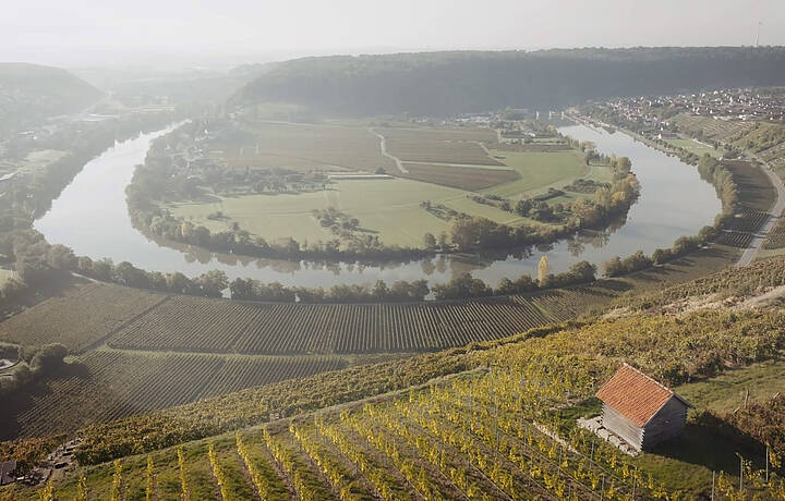  Lauffener Weingärtner eG