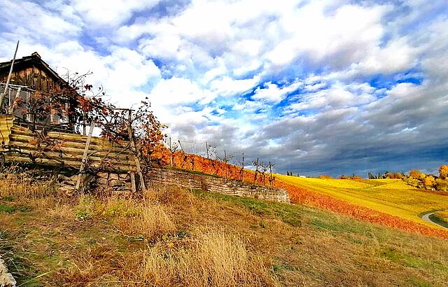 Der Herbst ist wieder da