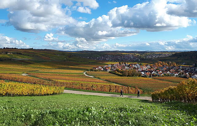 Mein Lieblingsspazierweg - auch wenn ich in Asperg wohne