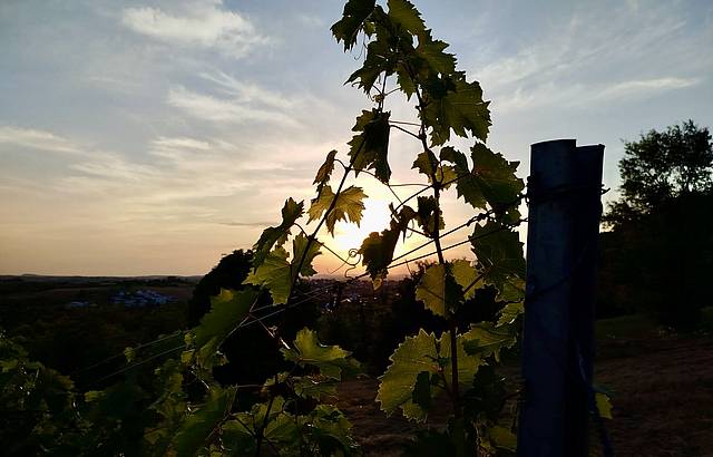Abendstimmung