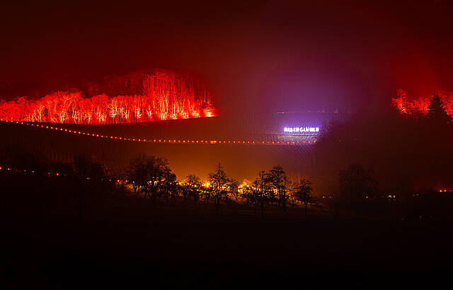 Rebenglühen im Weinberg oberhalb der Weinkellerei Hohenlohe in Adolzfurt