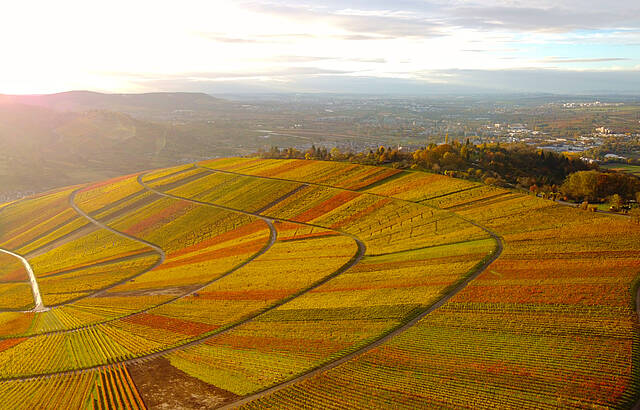 Schnaiter Herbstlaub 3