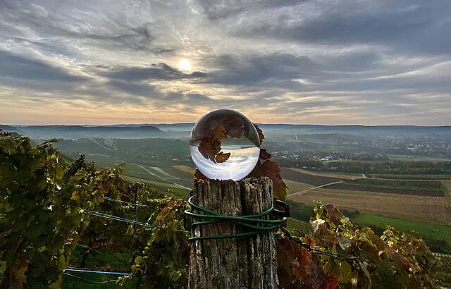 "Oechsleorakel" vom Grantschener Wildenberg