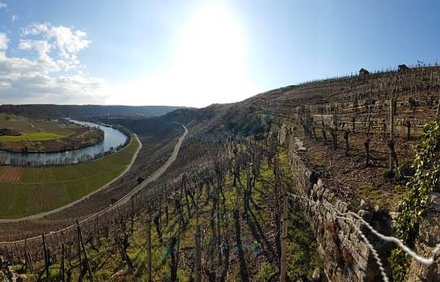 Käsberg Neckarschleife