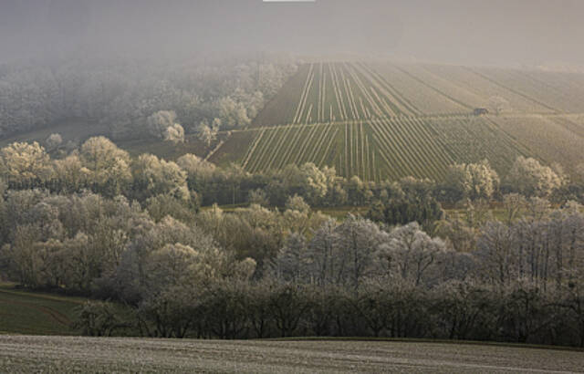 Die Sonne versucht den Nebel zu verjagen