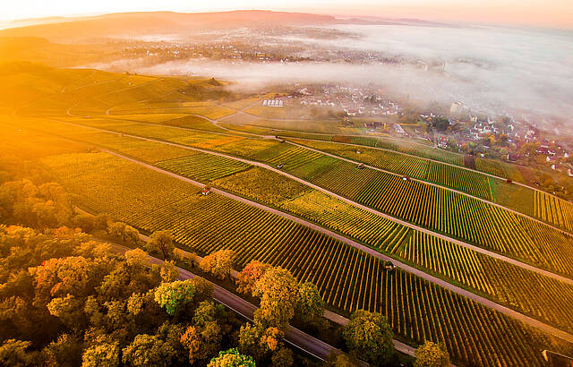 Magischer Herbstmorgen 