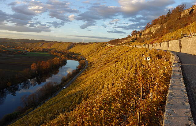 In der Herbstabendsonne