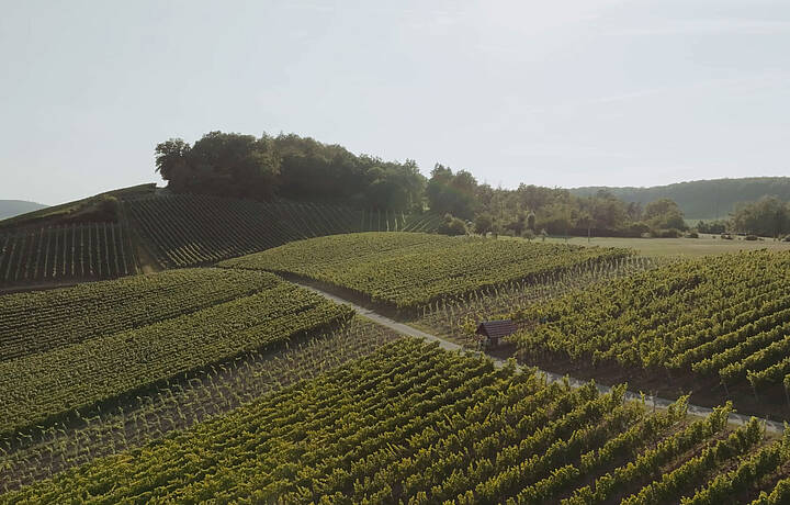 Winzer vom Weinsberger Tal eG