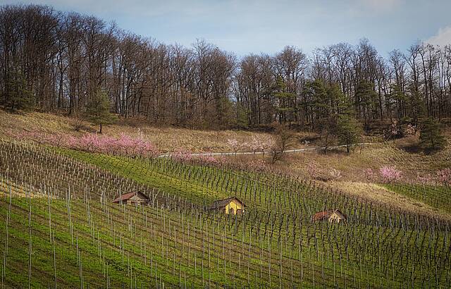 Diefenbach am Stromberg