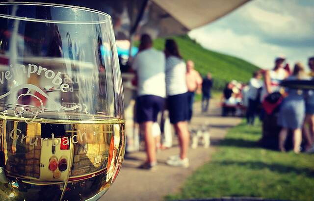 Weinprobe in den Weinbergen