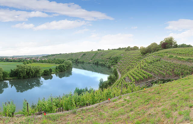 Weinland Württemberg