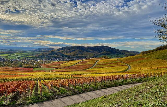 Pfefferberg Hohenhaslach
