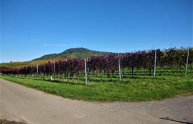 Herbstliche Impression