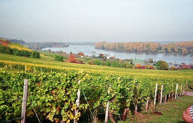 Ausflug durch die Weinberge