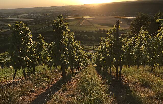 Abendstimmung im Weinsberger Tal