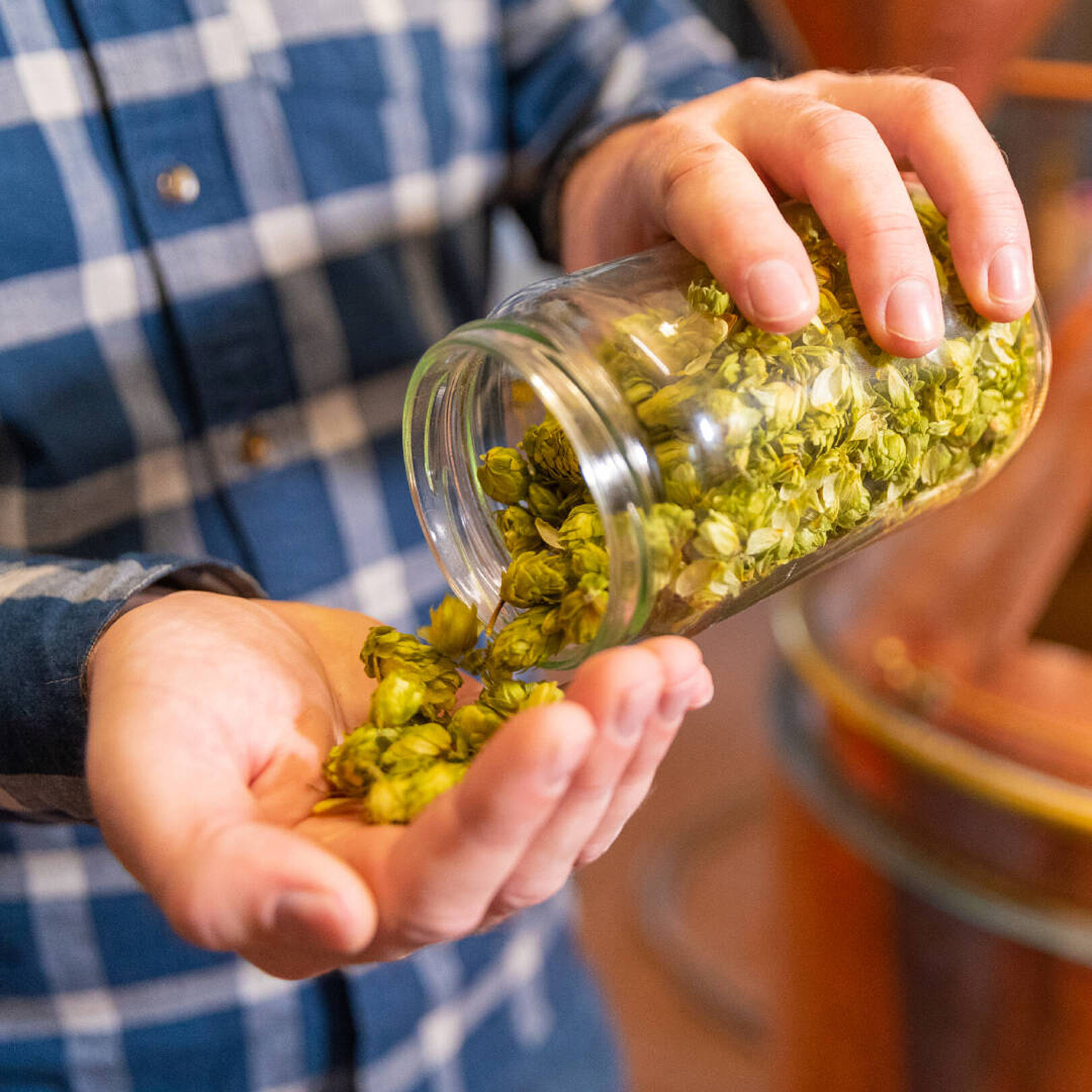 Foto: Hochschule Geisenheim