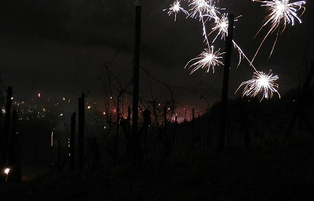 Jahreswechsel im Wengert