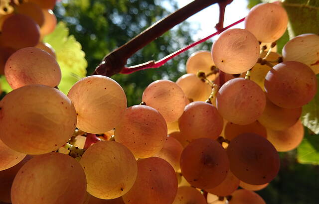 Eingefangene Sonne im CAL 6-04