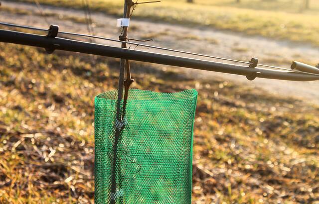 Bewässerungsanlage für den Nachwuchs 