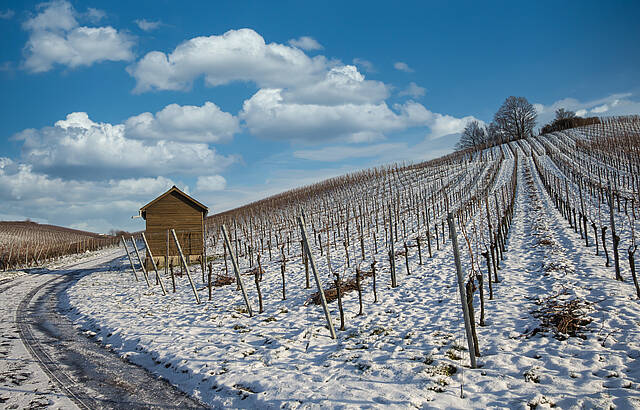 Der Stiftsberg in Heilbronn