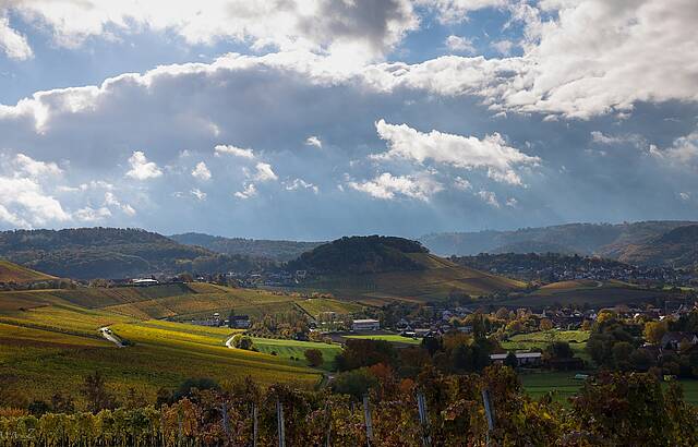 Die Sonne strahlt mit mir um die Wette ;-) 