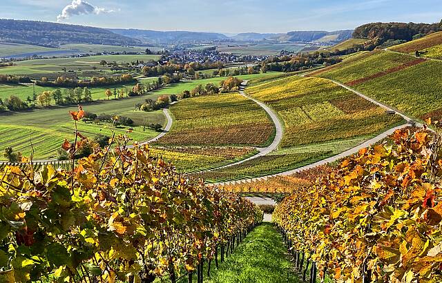 Soweit das Auge reicht - Glowing Autumn