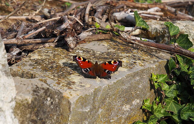 Letzte Sonnenstunden genießen