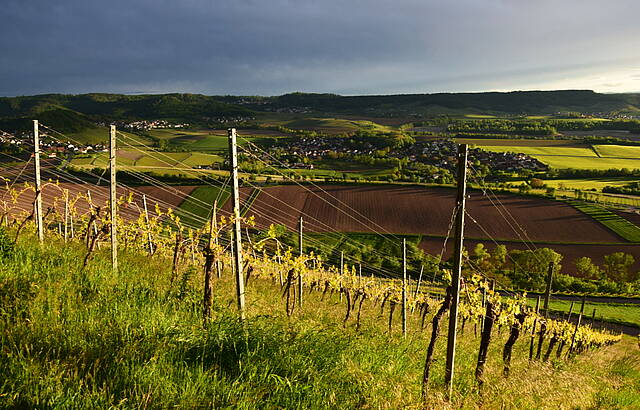 Weinsberger Tal mit den Löwensteiner Bergen im Abendlicht 