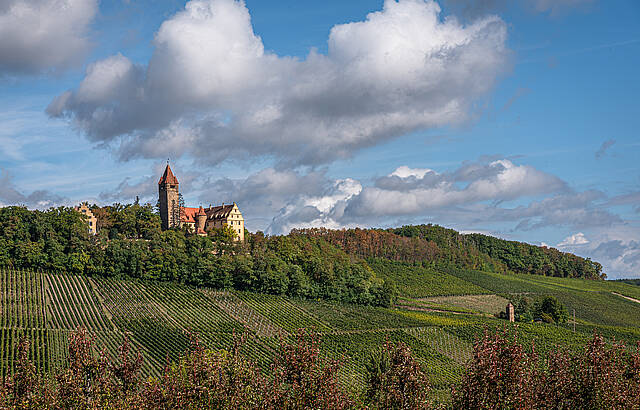 Weinberge um das Schloss Stocksberg
