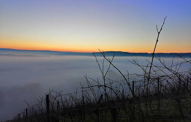 Zweifelberg im Nebel