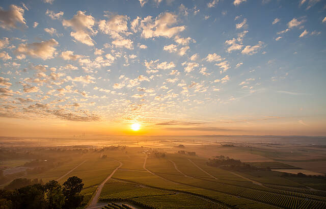 ein neuer Tag über den Weinbergen...