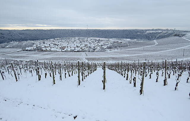 Winterpanorama zwischen Wald und Reben