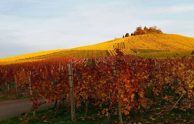 Endersbacher Sonnenbühl