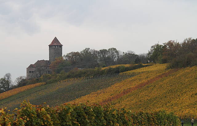 Weinberge bei der Burg