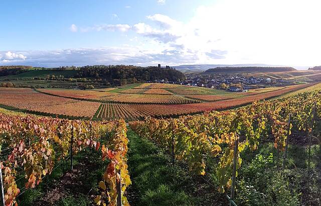 Herbstlicher Blick auf Neipperg