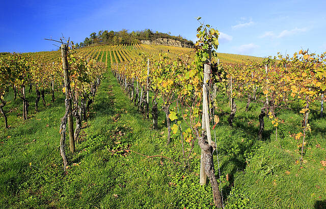 Felsengarten im Oktober