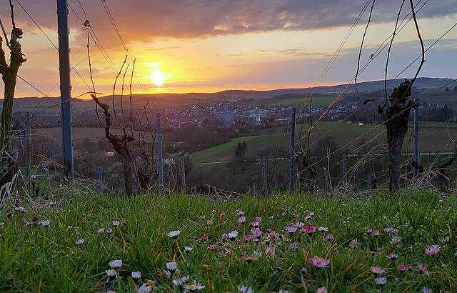Sonnenuntergang am Lindelberg