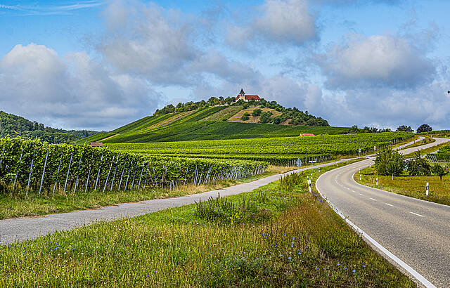 Wege in den Weinbergen